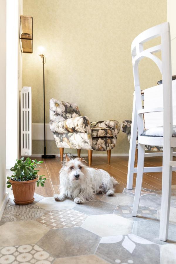 Happy Travelers Apartment By Holiday Solutions コモ エクステリア 写真